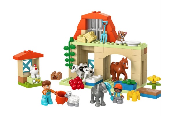 LEGO 10416